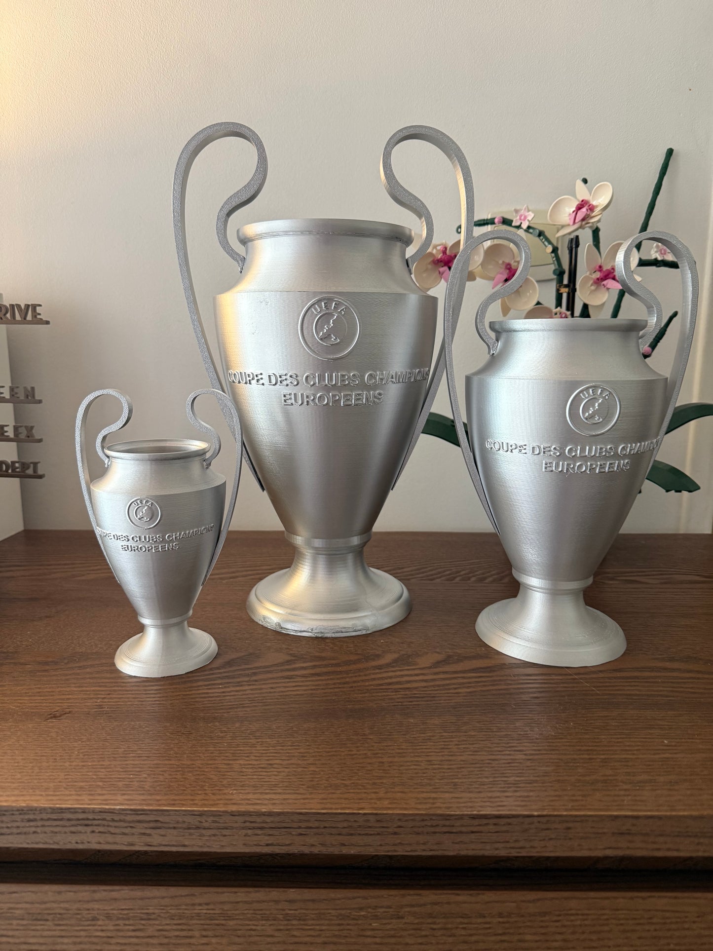 Champions League Réplique de la Coupe UEFA 3D Argentée, Trophée football, Décoration football, fan de foot, Supporter Lyon, PSG, Champions