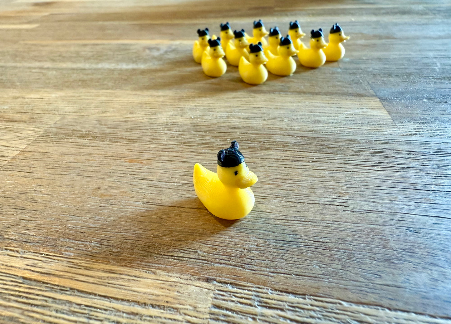 Mini canards Disney Cruise à cacher – Ducks de croisière personnalisés, à collectionner ou offrir, idée fun pour parcs et maison. (Copie)